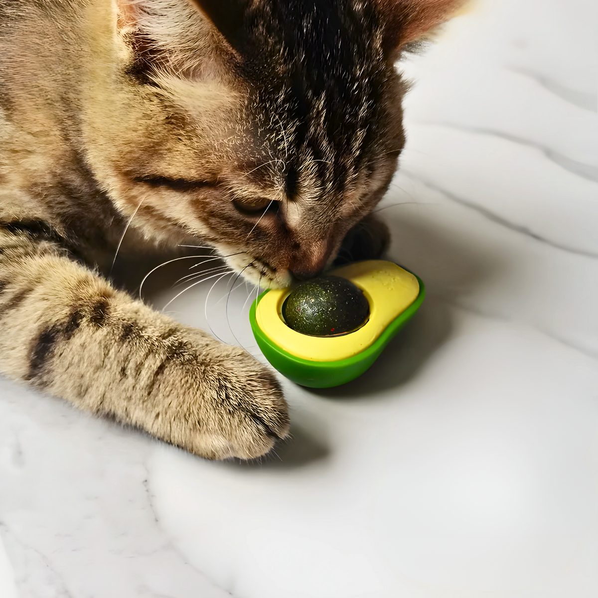 Abacate De Brinquedo Com Catnip Para Gatos